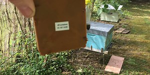 On a testé… la ruche connectée