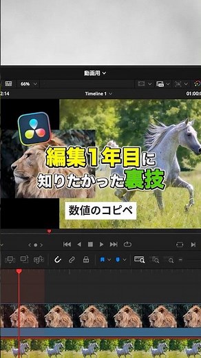 画像を一瞬で綺麗に並べる裏技！【DaVinci Resolve】