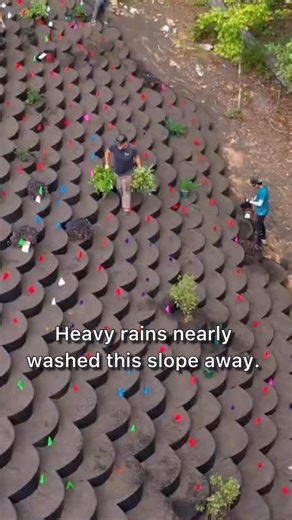 Dirt Locker and Harvest Locker by Hillgrow Inc. on Instagram: "Dirt Locker erosion planters terrace your hillside, protect your slope from heavy rains, and conserve water by directing it straight to plant roots 💧 Strong roots help lock everything in place—less runoff, more stability. #DirtLocker #ErosionControl #HillsideSolution #LandscapeUpgrade #WaterSmart"