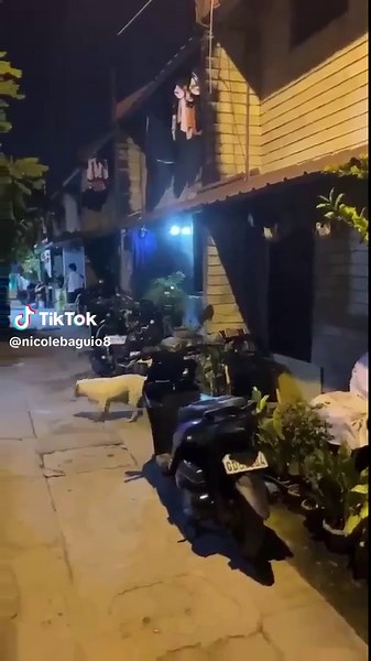 Understanding the Recent Earthquake in Cebu