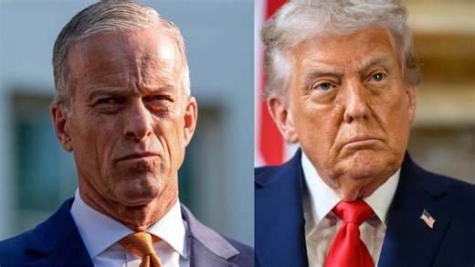 “I see a lot of stupid”: Michael Steele slams Senate showdown over voter suppression bill