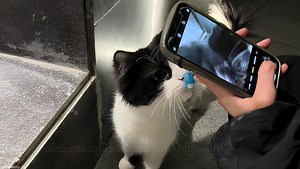 137K views · 6K reactions | The way I still love you • Reynard Silva | 헧헵헲혀헲 현헼헿헱혀 헮헻헱 헹혆헿헶헰혀 헮헿헲 헳헼헿 헺혆 헳헮혃헼혂헿헶혁헲 헽헲헿혀헼헻 | Facebook