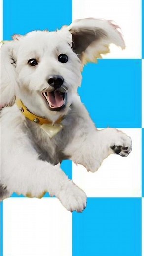 Trolls world tour movie review