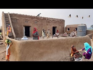 The Most Beautiful Village Life in Pakistan || Village Women Evening Routine || Rural Life in PK