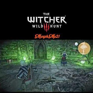Magic Lamp puzzle👉 solved (Witcher 3)