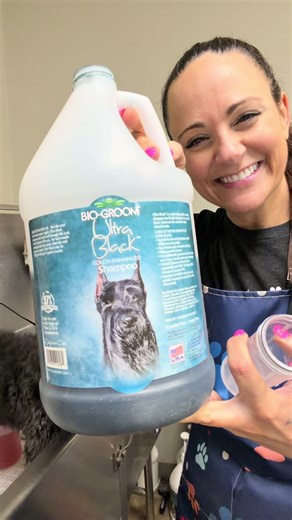 Labradoodle Grooming on Super Bowl Sunday