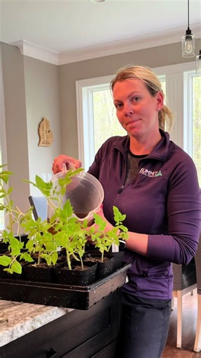 This is the BEST homemade fertilizer using used coffee grounds and a banana peel! #gardeningtips #gardener #homesteading #busymom #realistic #frugalliving