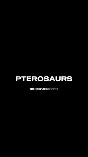 the dinosaur doctor on Instagram: "Pterosaurs were flying reptiles that lived during the Mesozoic Era (about 228–66 million years ago). They were not dinosaurs, but they were close relatives, sharing a common ancestor. Two Major Groups 1. Rhamphorhynchoids (early pterosaurs) Long tails, smaller bodies, simpler wings. 2. Pterodactyloids (later pterosaurs) Short tails, larger bodies, long necks, more advanced flight capabilities."