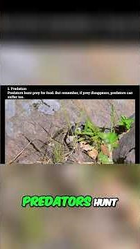 Ecosystems Explained: Interdependence in Nature #shorts