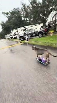 They See Me Rolling: Epic Riding Moments & Cool Cruising Clips