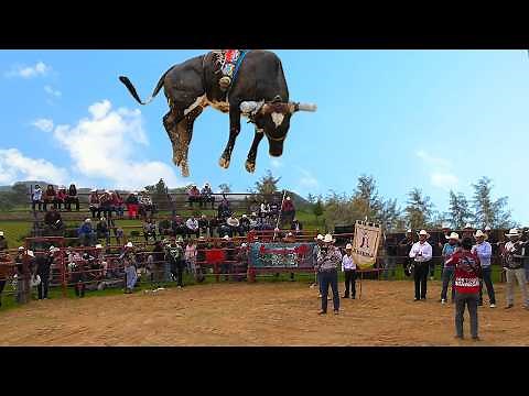 Morelia riders vs. bulls from various ranches! Bullfighting in San Bernabe, Michoacan, June 12, 2025