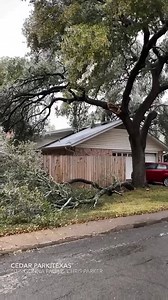 Wow! Check out this video of another iced over tree falling in Cedar Park! Share your videos here: cbsaustin.com/chimein | CBS Austin