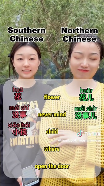 Southern Chinese VS Northern Chinese#fyp #learnchinese #chinese #chineseontiktok #chineseteachers #chineselesson #northernchinese
