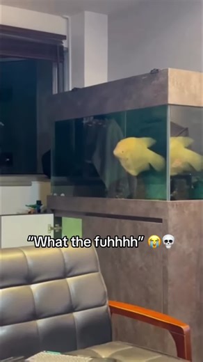 Epic Fishing Fails: Hilarious Fish Jumping Moments #foryou #fyp #funnyvideos #usa #fishingfail #funnyfish