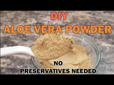DIY Aloe Vera Powder From Fresh Aloe Vera Plant | No Preservatives Needed