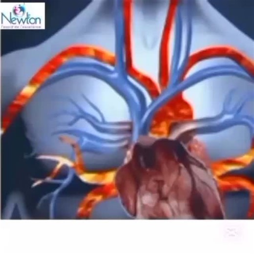 Nos élèves de CM2 en mode scientifiques ! Aujourd’hui, nos grands Newtoniens ont réalisé une superbe vidéo pour expliquer le système circulatoire 🫀. Avec sérieux et enthousiasme, ils ont présenté le rôle du cœur, la circulation du sang et le fonctionnement de ce système essentiel du corps humain . Une activité qui développe leurs compétences scientifiques, leur expression orale et leur confiance en eux. Bravo à nos jeunes chercheurs du Complexe Scolaire Privé Le Newton 🔬! #complexescolairelene