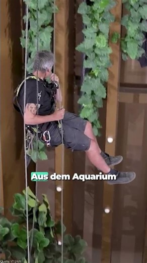 🐠 What became of the world's largest freestanding aquarium? #berlin #architecture #construction