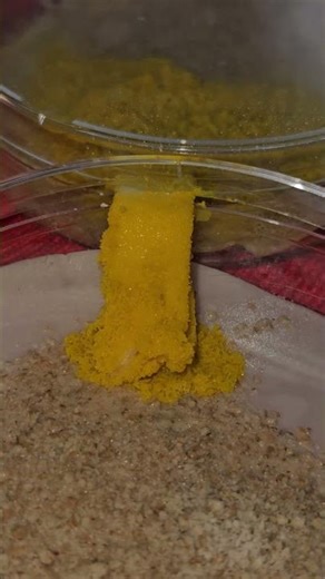 Bob, der Blob. Schleimpilz in "Bewegung" (Physarum polycephalum)