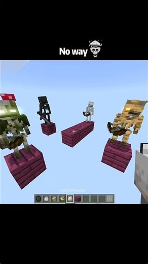 My Minecraft Dog Chose Only ONE Skeleton