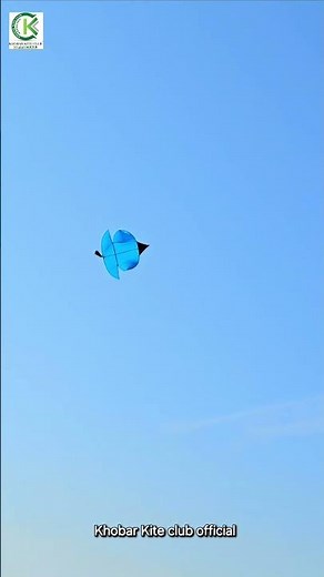 Blue Kite Flight