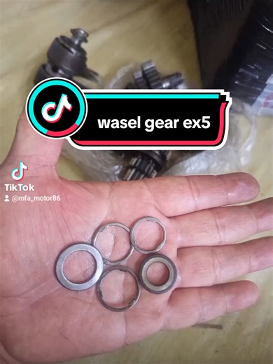 Explore the Wasel Gear EX5: Features and Benefits