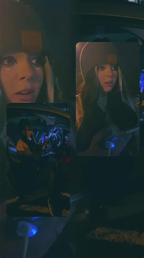 Exploring the Lambo Scene in Belfast with Seacat