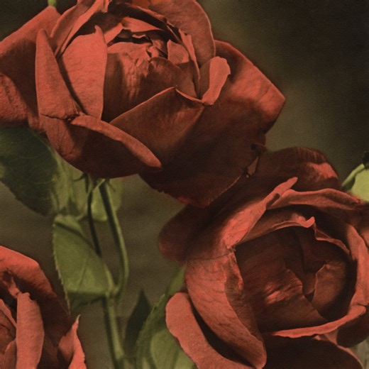 Cindy Announce New Album Another Country: Hear 'Procession'