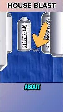 Do Bug Bombs Have Enough Power to Level a House?