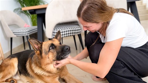 German shepherd’s sweet reaction to mom’s affection