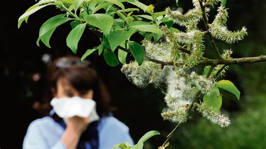 Allergie au pollen : voici comment bien vivre le retour du printemps