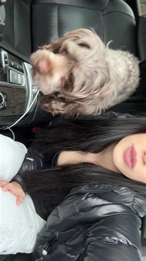 Snooks | snook
