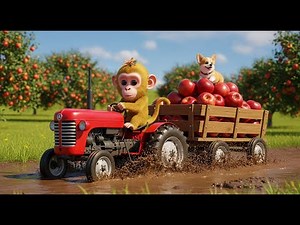 Tiny Monkey Farm: The Apple Harvest Day 🍎 Baby Monkey & Puppy Work Together on the Farm
