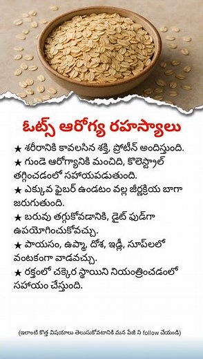 Healthy Lifestyle with Oats | Benefits & Uses
