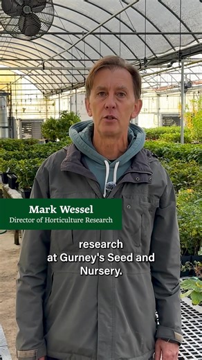 🌱 Dig In Episode 3 is here! We’re talking bigger garlic bulbs 👀, how to overwinter fruit trees & shrubs, and the best way to winterize your strawberry plants so they come back strong next season. Got a garden question of your own? Submit it on our website and watch the full version of Episode 3 of Dig In: https://www.gurneys.com/pages/dig-in | Gurney's Seed and Nursery Co.