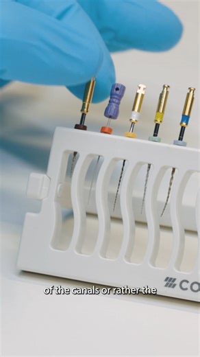 🔍 Why this Endo Combo? Dr Christoph Eichinger explains why the HyFlex EDM OGSF sequence is a game-changer: ✅ Extreme confidence in primary shaping ✅ Simple & well-thought-out file sequence ✅ Flexible for individual cases 💡 Time to rethink root canal prep! 👉 Tap the link to learn more https://www.coltene.com/highlights/the-hyflex-edm-file-system-ogsf-sequence/ #ChristophEichinger #D4Praxisgemeinschaft #Endodontics #COLTENEgroup #HyFlexEDM #OGSF #RootCanalTreatment #E2R #NaturalTeeth | COLTENE.