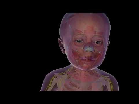 Soul Machines reveal the secrets behind Baby X, their life like artificial baby