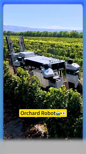 This orchard bot has 8 smart eyes! 👀🤖 Spots sick leaves, waters with surgical precision！ #BusinessInspiration #waytorich #RobotGardener #farming | Silk Road Riches