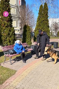 527K views · 3.4K reactions | Dog helps lady with new cane | Fabiosa Digest | Facebook