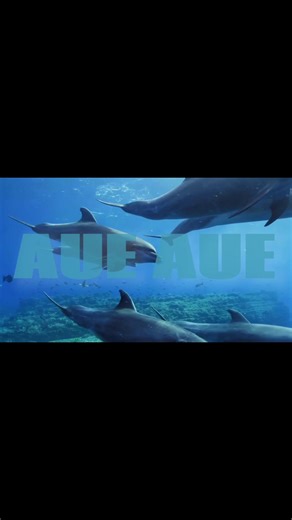 Make a Difference for Earth