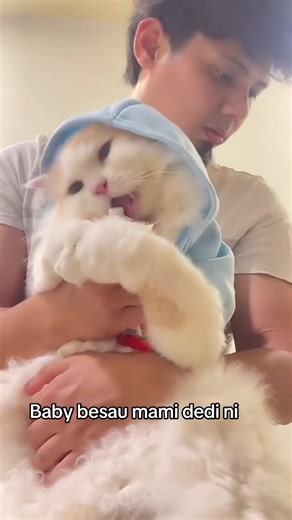 Forever Babyyy: A Fluffy Companion's Joy