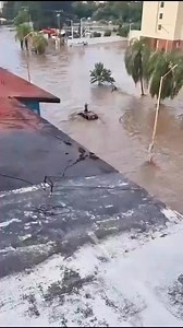 No se puede creer lo que está pasando en la zona norte del estado de Veracruz | La ruta del profe