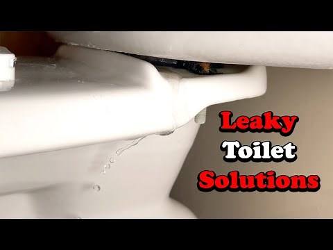 Leaking Toilet - How to Replace Toilet Bolts and Flush Gasket Seal O-Ring