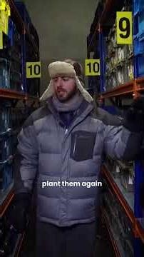 The Place Where Winter Has No Sun | Svalbard