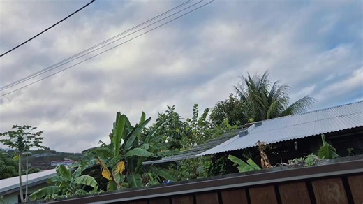 Tu sais que c'est la saison des ina'a quand… …les chiens🐶 aboient dans le quartier, les klaxons résonnent, et tu entends partout : “Ina’a ! Ina’a ! Ina’a !!!” C’est le moment de sortir ton 1000 F . 👉La recette https://www.recettestahitiennes.com/recipe/58-beignets-de-ina-a/ #inaa #polynesie #saison #poisson | Recettes Tahitiennes