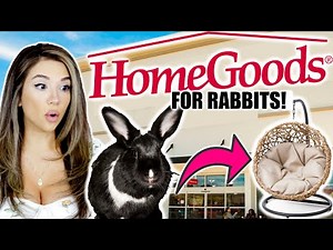 Things You Can Buy at HOMEGOODS for RABBITS!