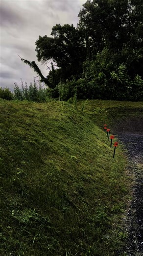 A “Shout Out” and “Special Thanks” to the following Members of the “Rifle and Pistol Team”: Chuck Bergeron, Dwayne Rogers, Shawn Hyken, Mark Czubak, Al Draugelis and Rich Rohrich. They did the “hard and miserable work” last night to clear the berms on the Pistol Range. It looks FANTASTIC!!! Y’all are the BEST!!!🎉🎯 | St. Charles Sportsmen's Club
