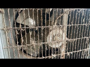 Restore Industrial Fans Neglected For Many Years At The Farm / Revive Old Industrial Fans