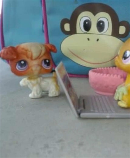 Emotional Background Music for LPS Videos