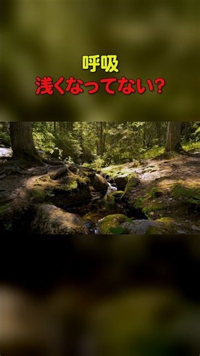 静かな森のせせらぎで心をリセット！極上の癒しASMR体験 #疲労回復 #リラックスbgm #作業用bgm #睡眠用bgm