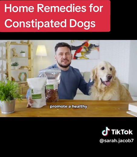 6 Home Remedies for Constipated Dogs #mydog #dogsarefamily #skunk #dogtrend #doggosoftiktok #dogsbestfriend #dogsforyoupage #foryoupage #foryoupageofficiall #fypp
